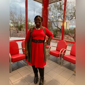 EUC Piphany Swing Dress